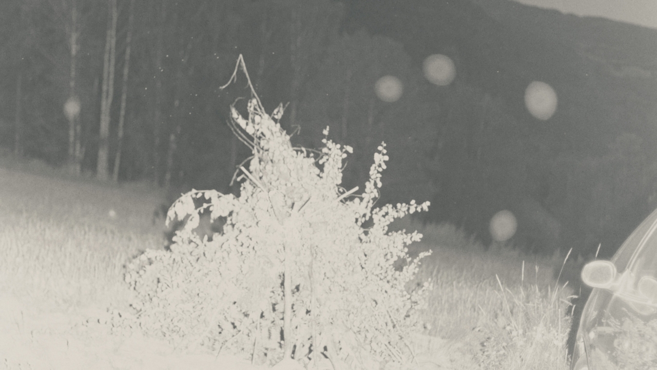 Fotografi_Ola Rindal_Kunstpause_Lillehammer Kunstmuseum
